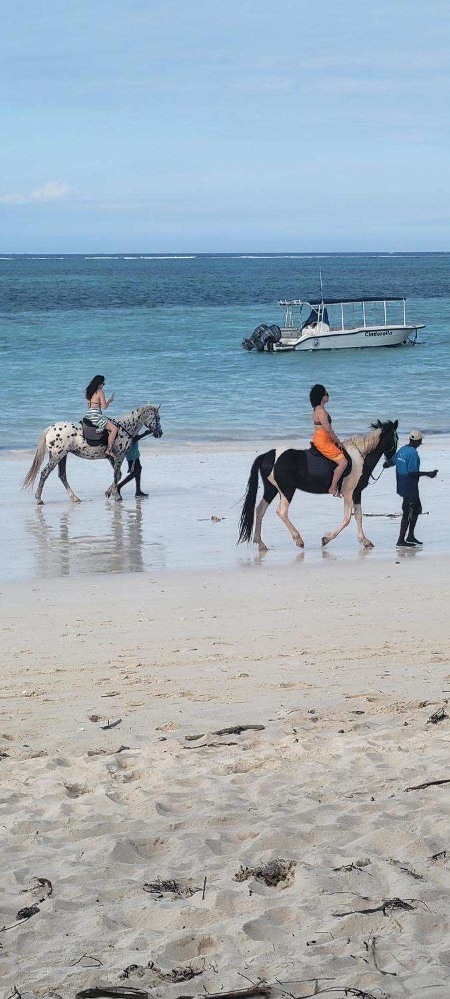 Mambo Cabana Pwani Mchangani Dış mekan fotoğraf